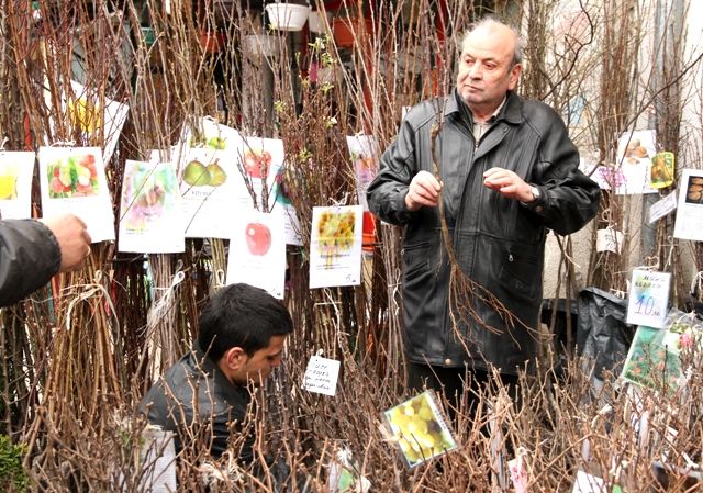 Un marché aux fleurs à Sofia