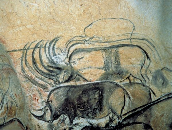 Chauvet Jul