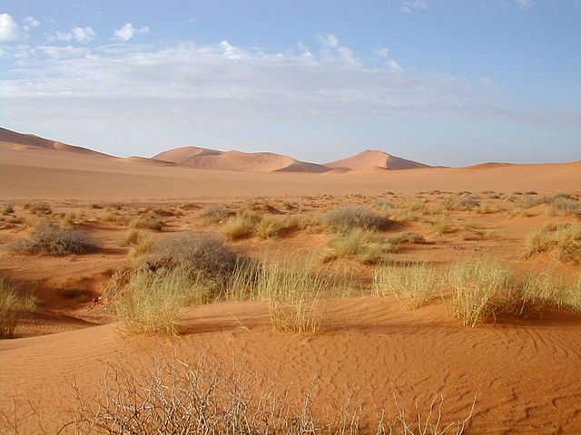 Le désert près de Tamanrasset en Algérie