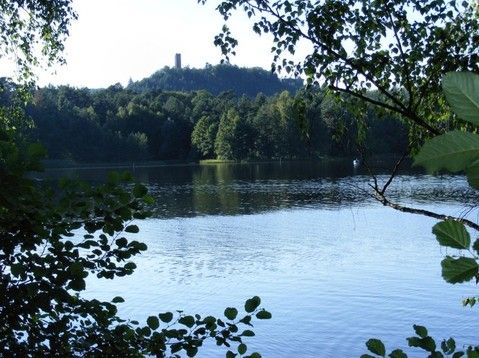 ETANG DE HANAU