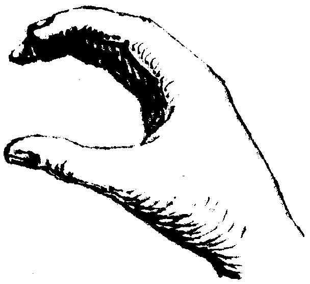 Lettre A