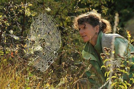 Cristine Rollard observant une épeire