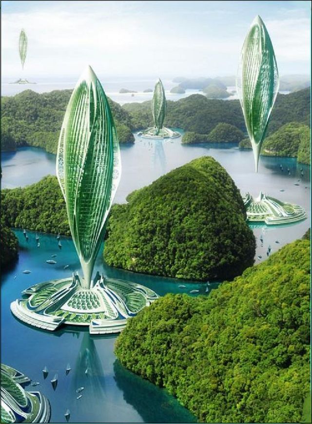 vincent callebaud