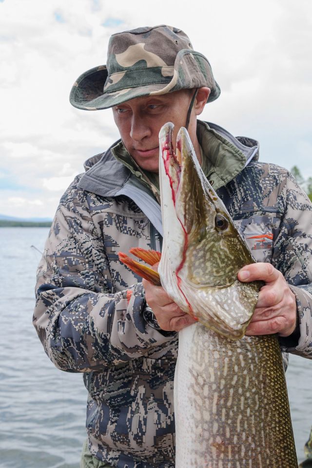 Poutine et son brochet