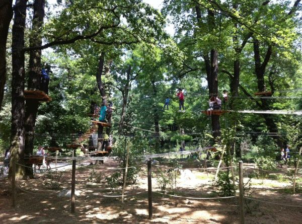 L'accrobranche au parc floral