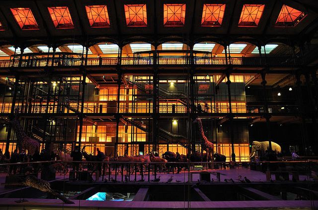 Galerie de l'Evolution - Muséum National d'histoire naturelle
