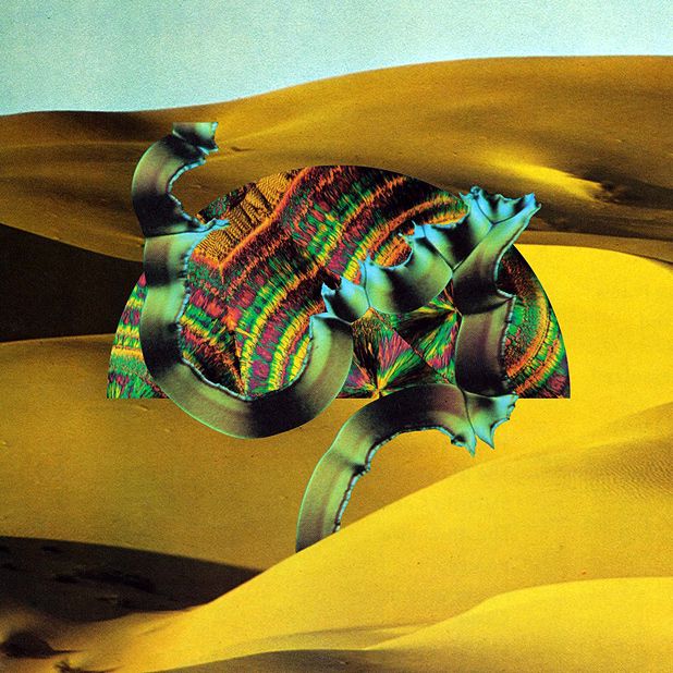 django-django.jpg