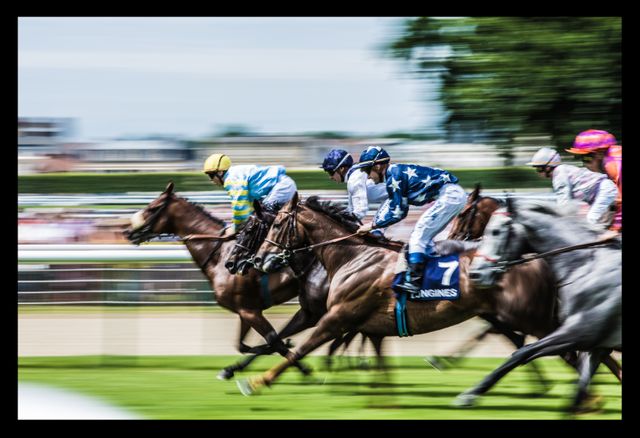 Grand Prix de Diane Longines en 2013