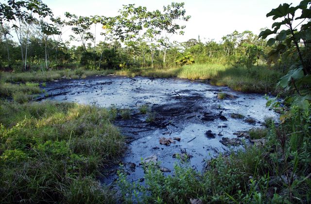 Des forages en Amazonie équatorienne