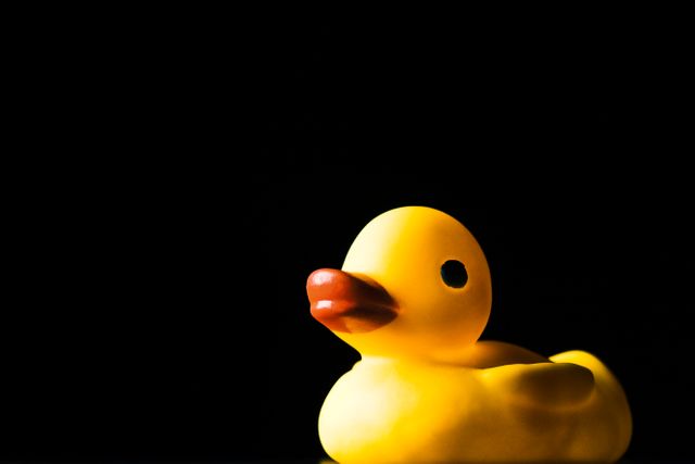 Le canard espion n'était ni un canard ni un espion