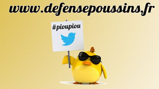 logo des poussins qui défendent les auto-entrepreneurs (2)