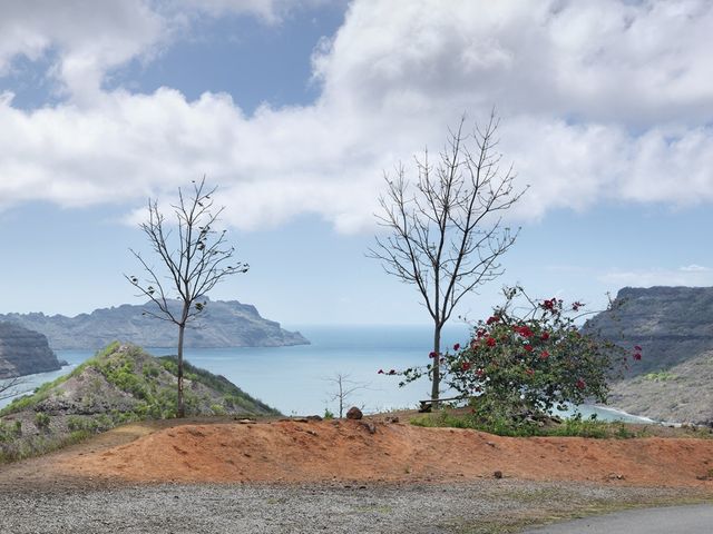 Guy Tillim, Comptroller Bay