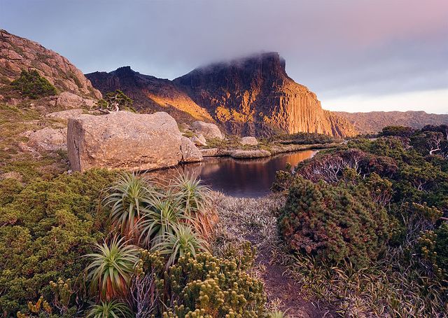 Parc national Southwest en Tasmanie