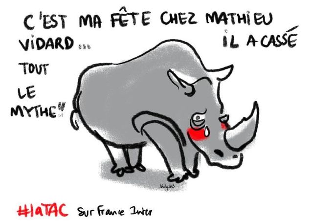 Le rhinocéros de la TAC