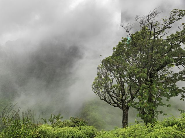 Guy Tillim, Mouaroa, Moorea, 2010