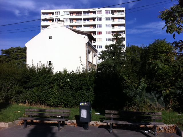 Le banc de Joey