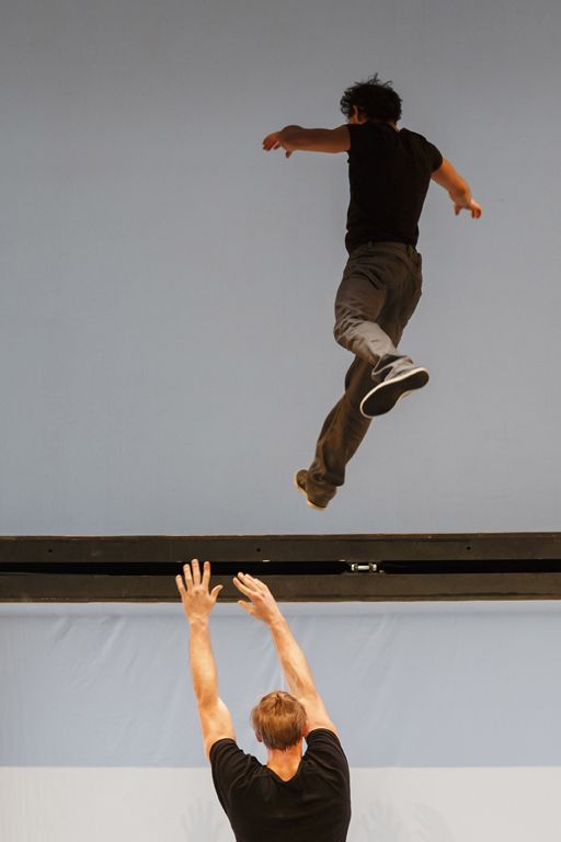 Acrobates