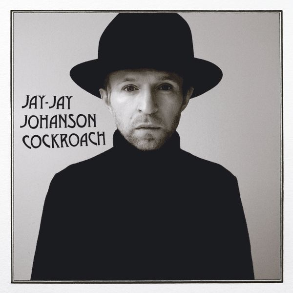 Johanson_Crockroach