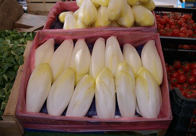Endives au marché