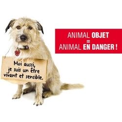 pétition animaux