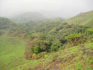 la chaîne montagneuse de Simandou, à l'est de la Guinée Conakry où se trouve le minerai de fer tant convoité