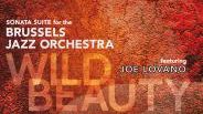 VIsuel CD - Wild Beauty - Brussels Jazz Orchestra