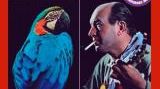 Visuel CD - Brazilian Byrd - Charlie Byrd