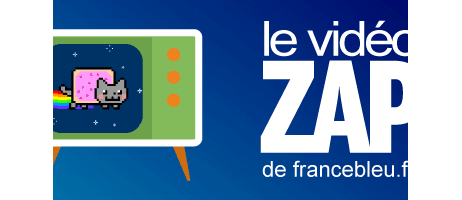 GIF VIDEOZAP