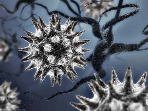 Microbes et virus
