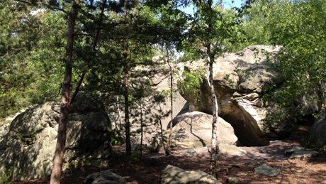 Gorges du Chat - forêt de Fontainebleau