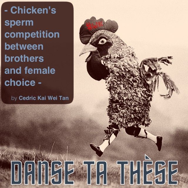 Danse ta thèse