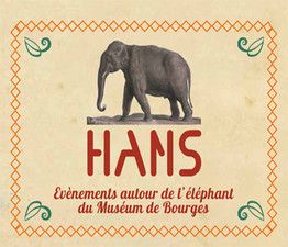 Hans, l'éléphant naturalisé du Museum d'Histoire Naturelle de Bourges