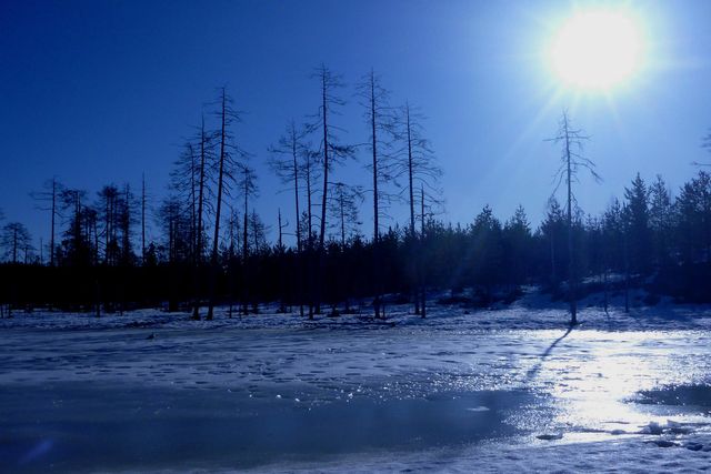 Paysage de Finlande à l'automne