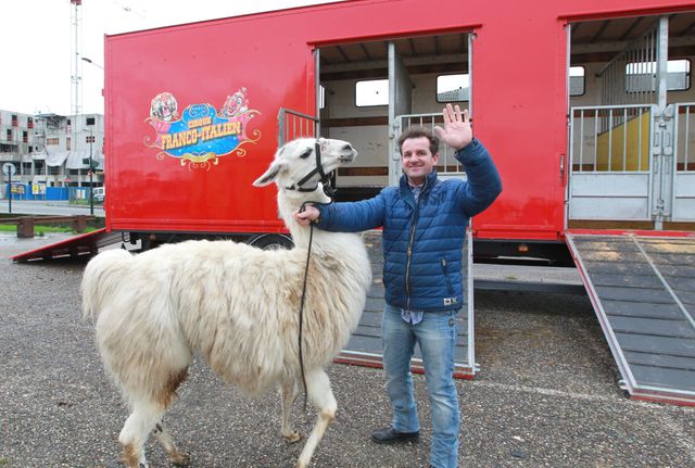 Serge le lama