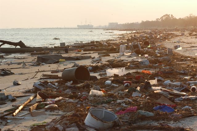Déchets rejetés par la mer