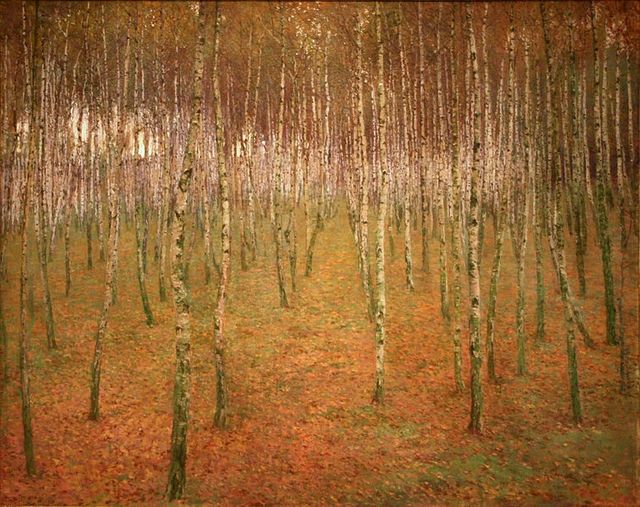 forêt de bouleaux