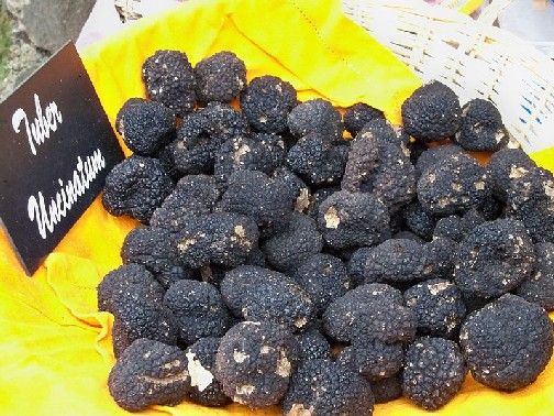 Truffes