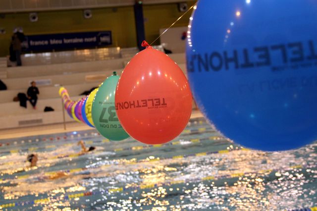 Telethon 2013