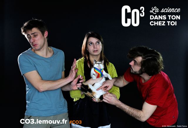 CO3 génétique