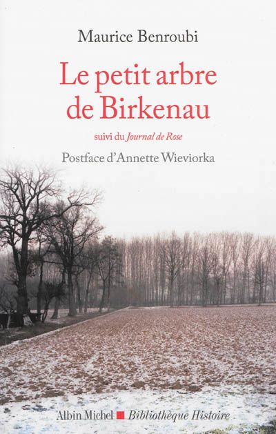 Le petit arbre de Birkenau