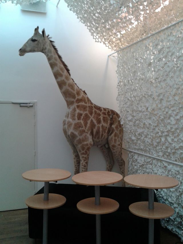 WECF - Sophie la girafe