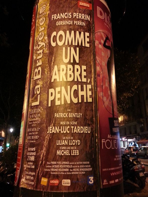 comme un arbre penché