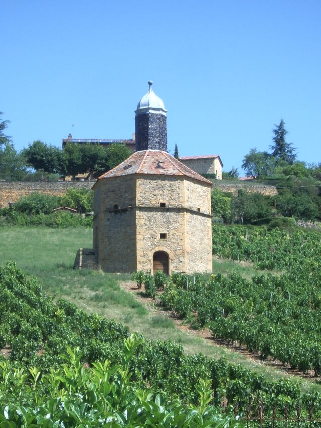 Pigeonnier dans les vignes non loin d'Anse