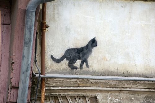 Aurevoir le chat
