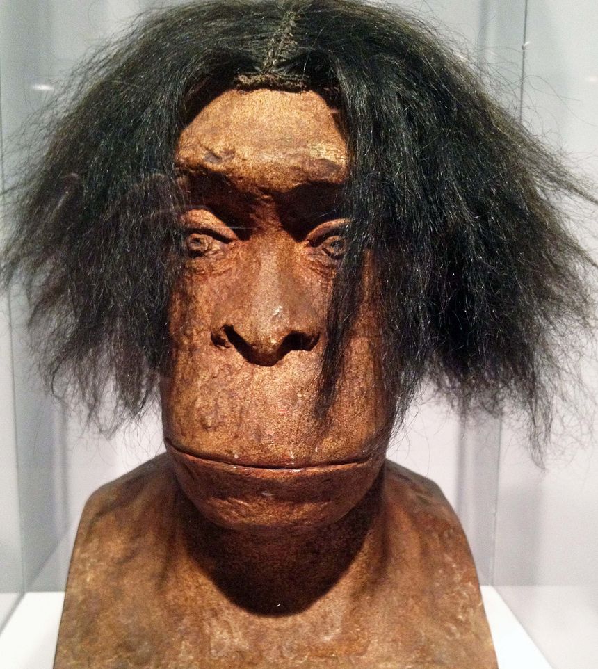Monsieurou peut-être Madame Quina ? Buste de néandertalien réalisé par le sculpteur Charles Bousquet en 1913