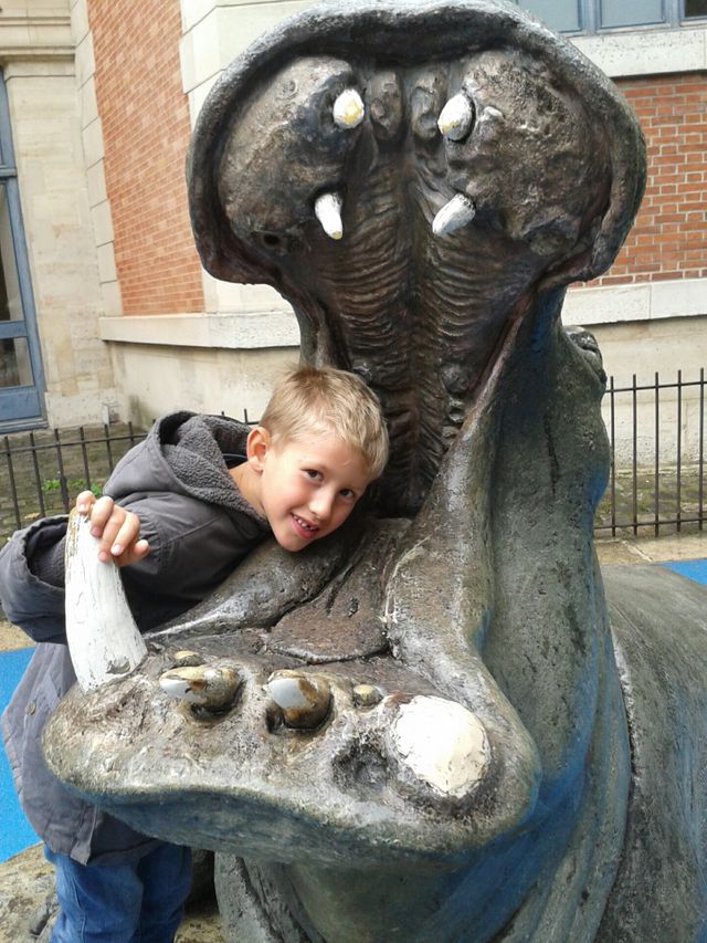 Kako l’hippopotame
