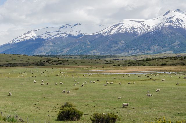 Patagonie