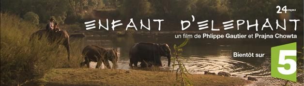 Enfant d'éléphant