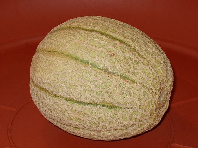 Melon Cantaloup dit de Cavaillon