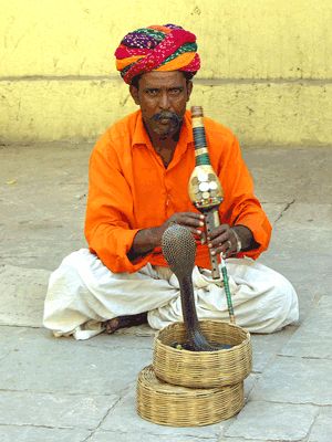 Charmeur de serpent en Inde.